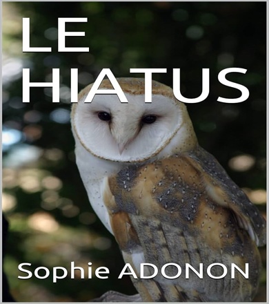 Le Hiatus