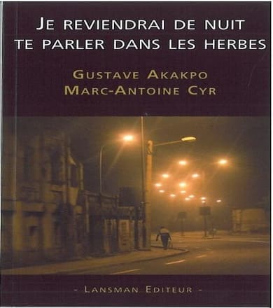Je reviendrai de nuit