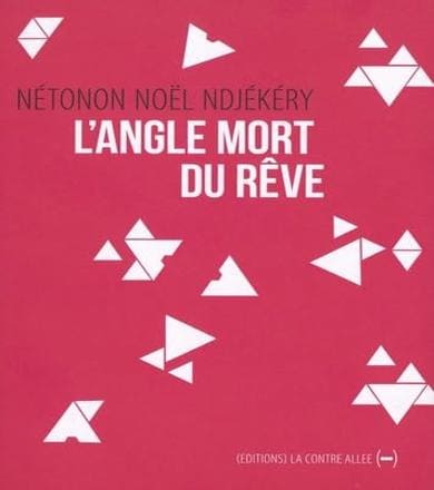 L'Angle mort du rêve