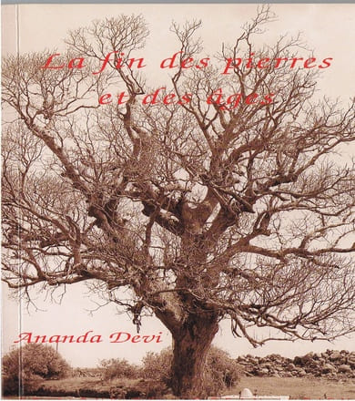 La Fin des pierres